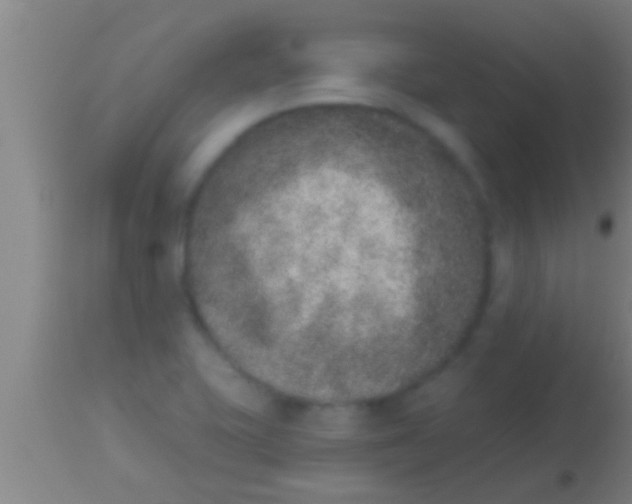 X0000113941415200910161904