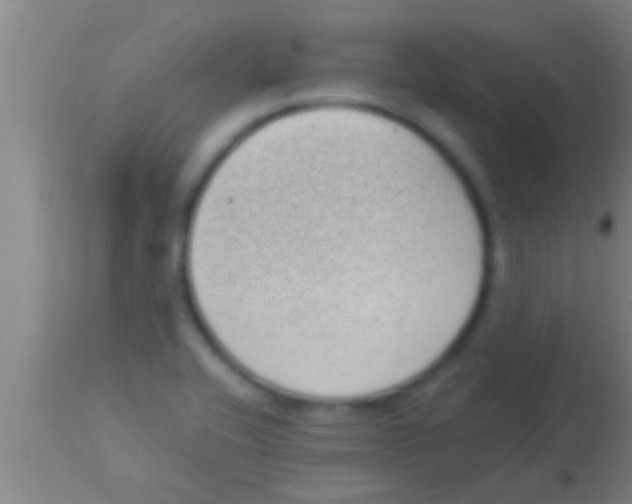 X0000113941416200910161904