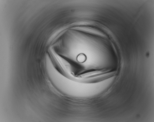 X0000113941417200910161904