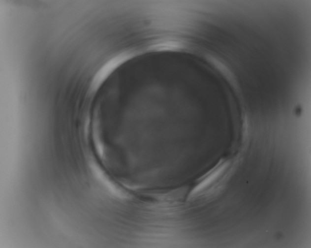 X0000113941418200910161904