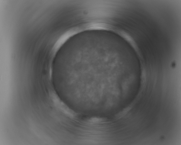 X0000113941419200910161904