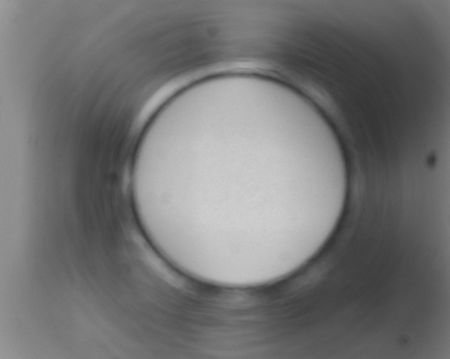 X0000113941420200910161904