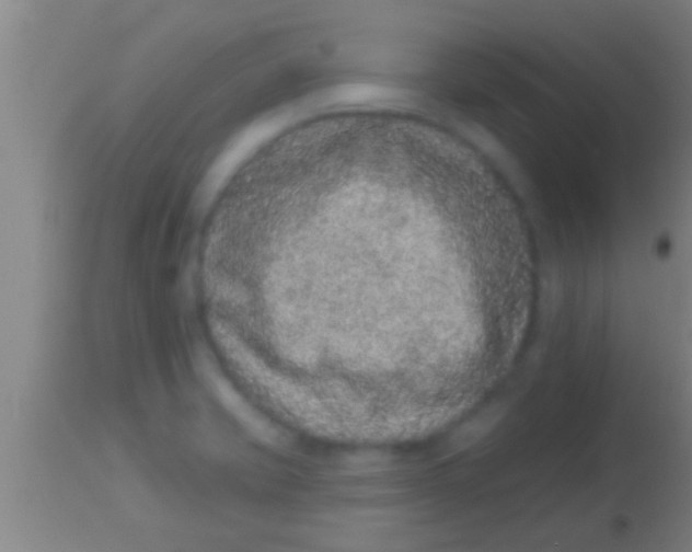 X0000113941421200910161904