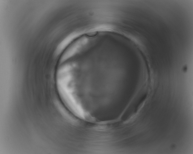 X0000113941422200910161904