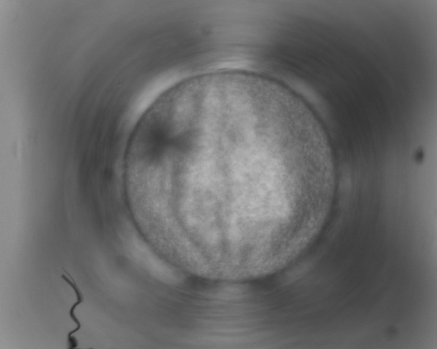 X0000113941423200910161904