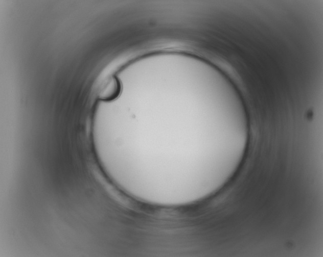 X0000113941424200910161904