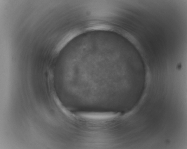 X0000113941425200910161904