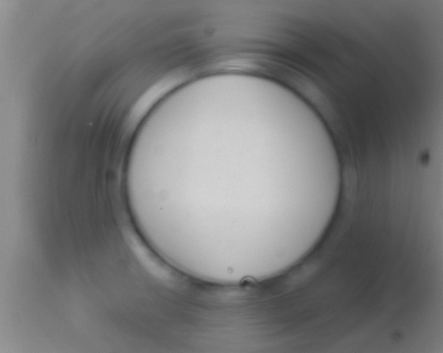 X0000113941426200910161904