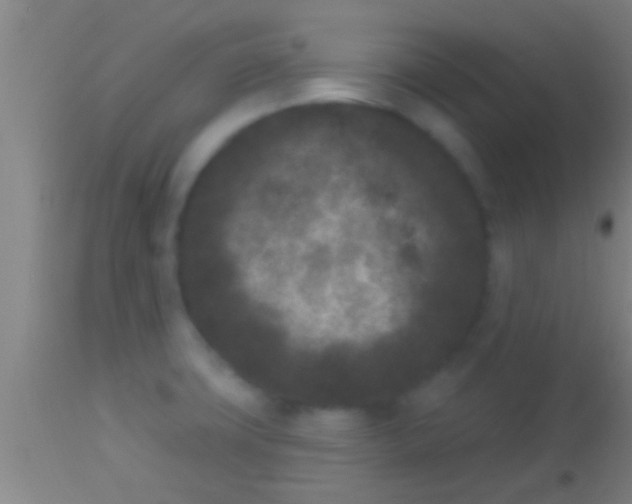 X0000113941427200910161904