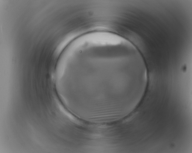 X0000113941428200910161904