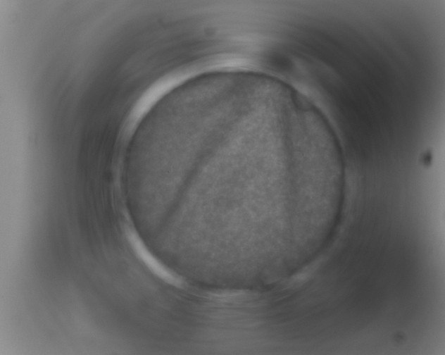 X0000113941429200910161904