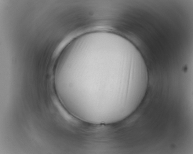 X0000113941430200910161904