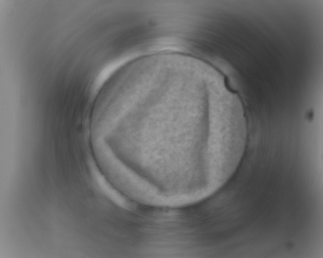 X0000113941431200910161905