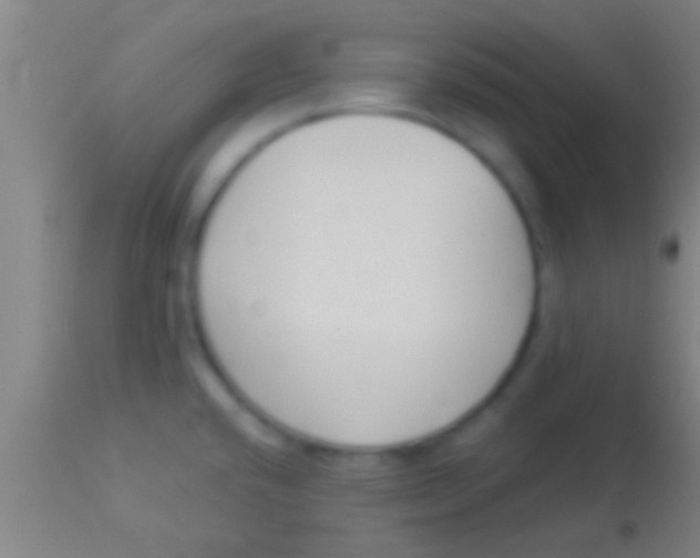 X0000113941432200910161905