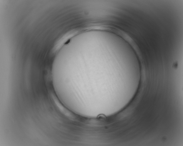 X0000113941433200910161905