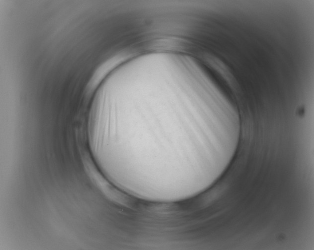 X0000113941434200910161905