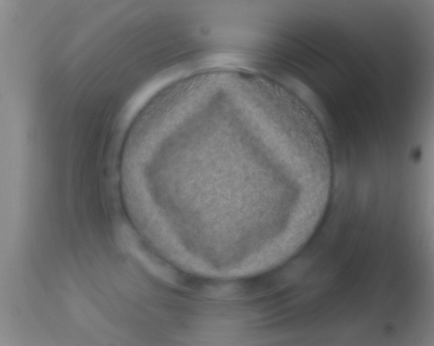 X0000113941435200910161905