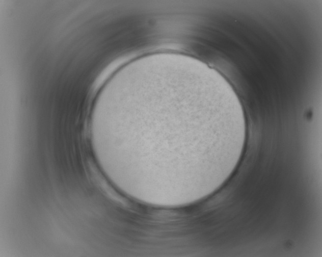 X0000113941436200910161905