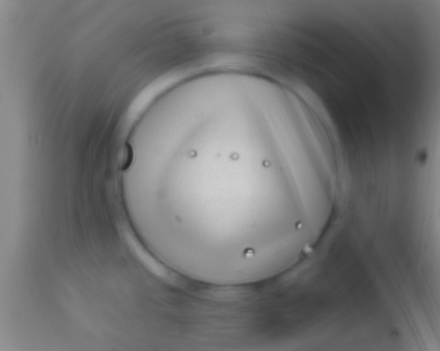 X0000113941437200910161905