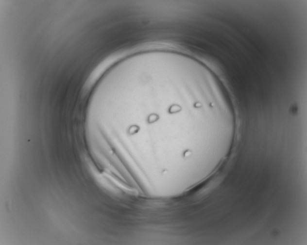 X0000113941438200910161905