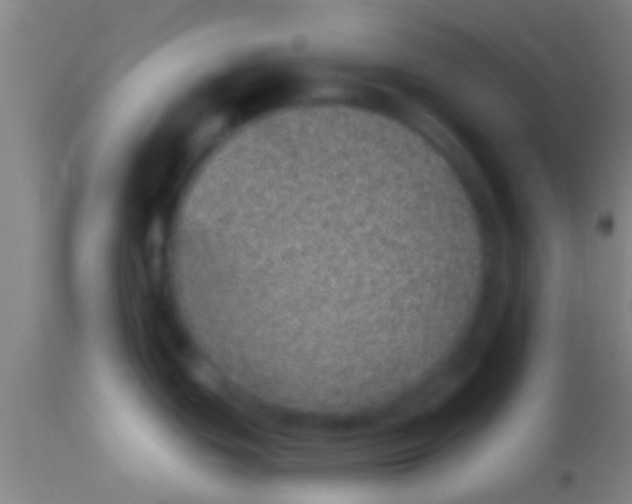 X0000113941439200910161905