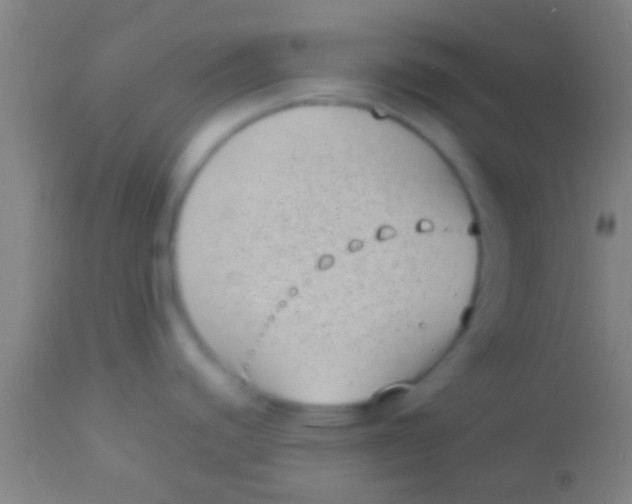 X0000113941440200910161905