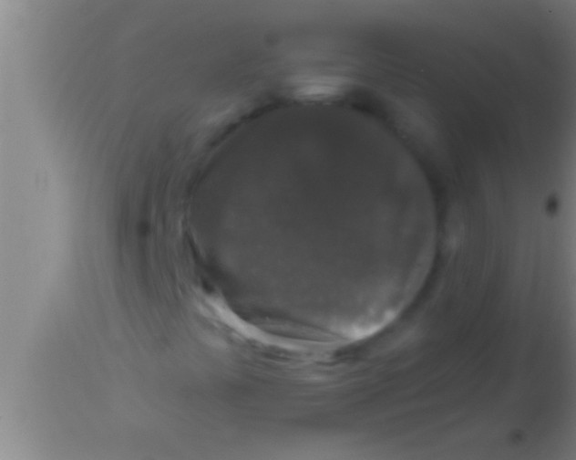 X0000113941441200910161904