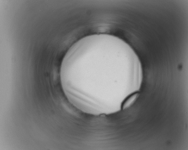 X0000113941442200910161904