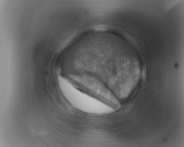 X0000113941444200910161904