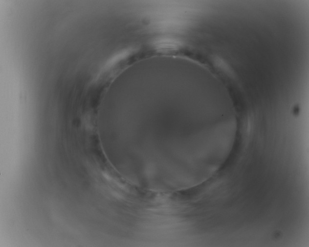 X0000113941445200910161904