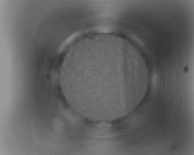 X0000113941446200910161904