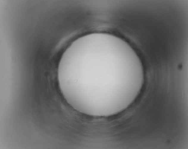 X0000113941447200910161904