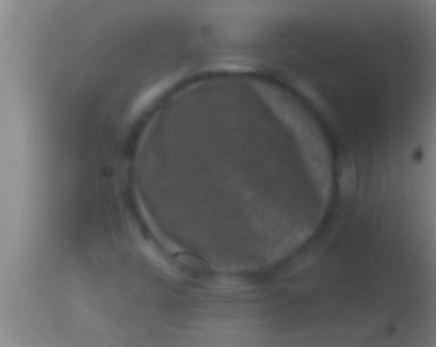 X0000113941448200910161904