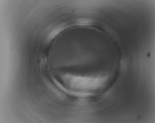 X0000113941449200910161904