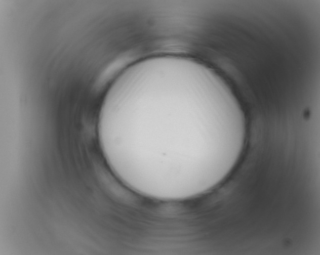 X0000113941451200910161904