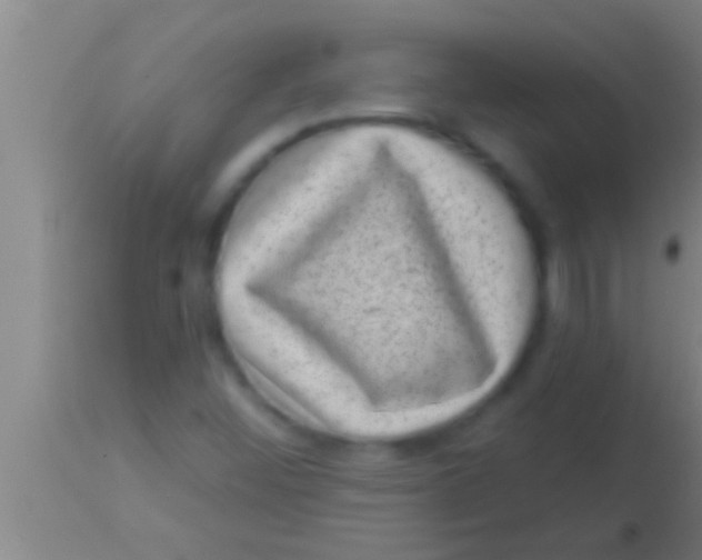 X0000113941452200910161904