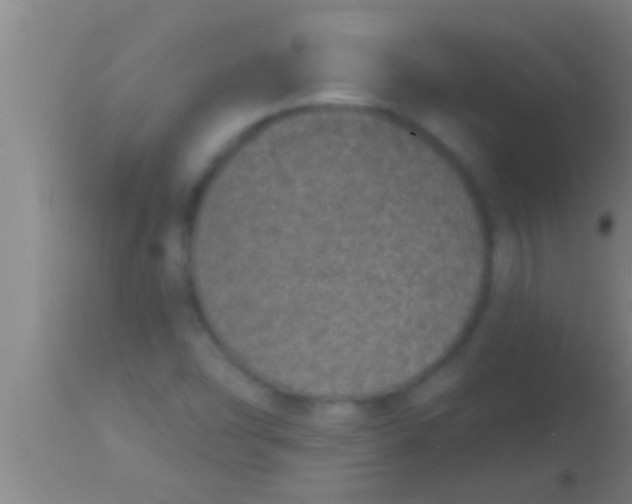 X0000113941454200910161904