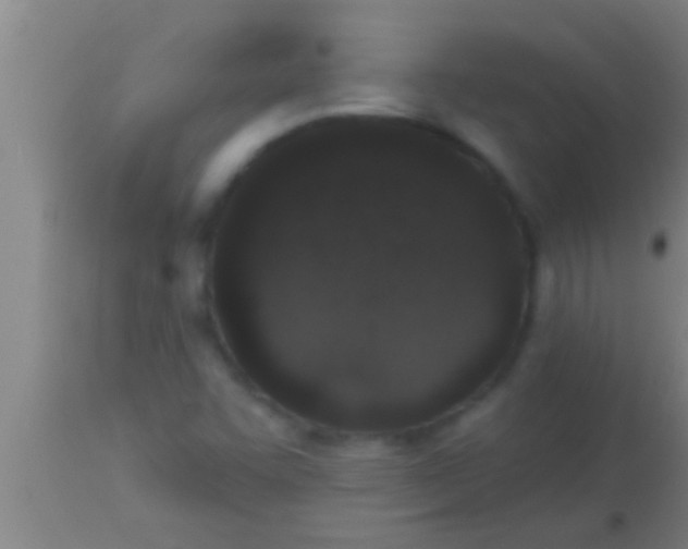 X0000113941455200910161904