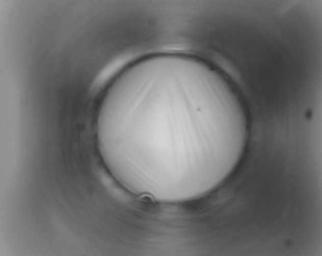 X0000113941456200910161904