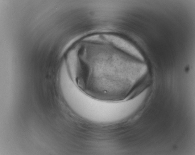 X0000113941457200910161904