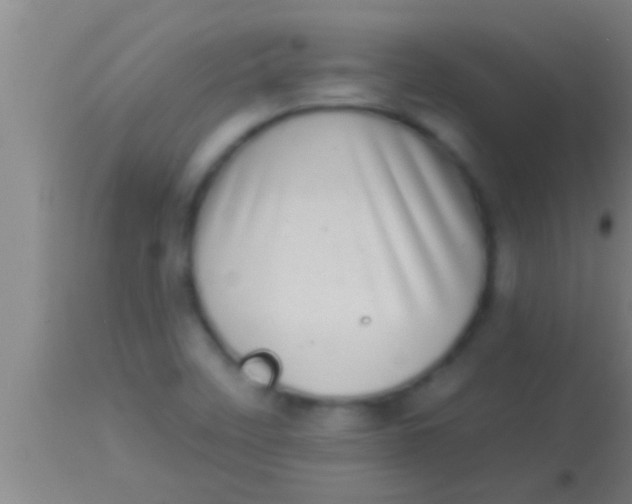 X0000113941458200910161904