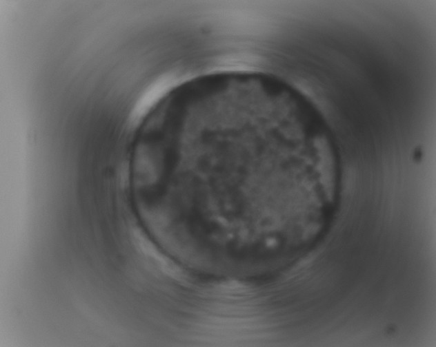 X0000113941459200910161904