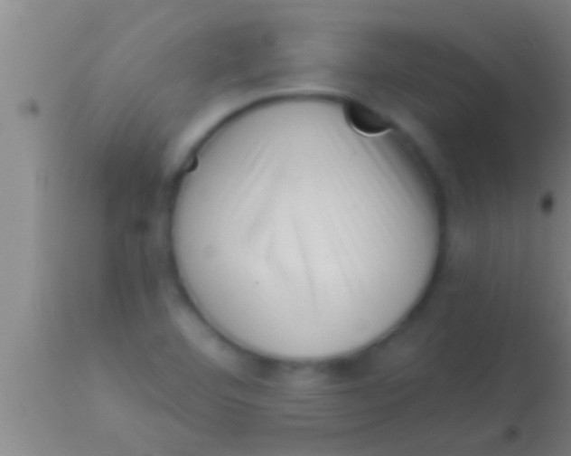 X0000113941460200910161904