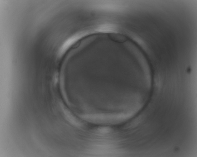 X0000113941461200910161904