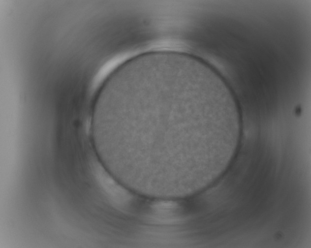 X0000113941462200910161904