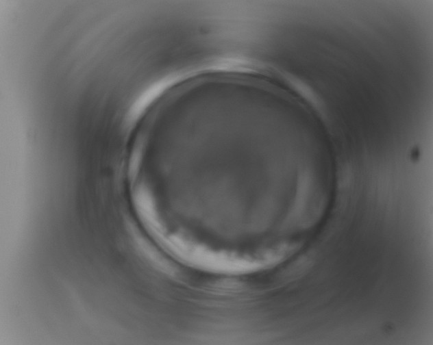 X0000113941463200910161903