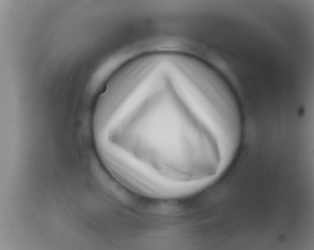 X0000113941464200910161903