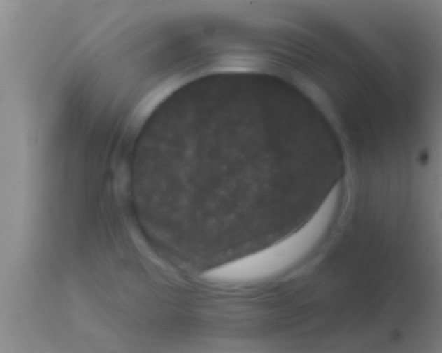 X0000113941465200910161903