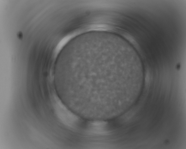 X0000113941466200910161903