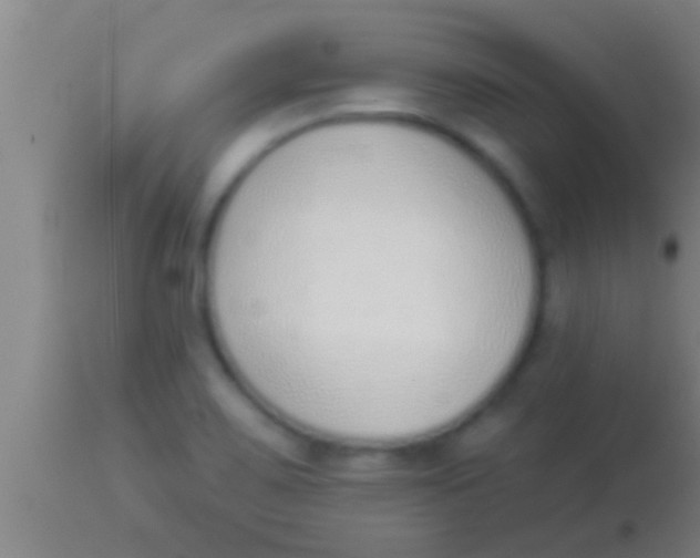 X0000113941467200910161903